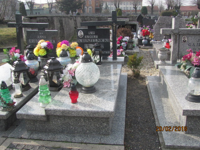 Grób Adolf Kruszelnicki