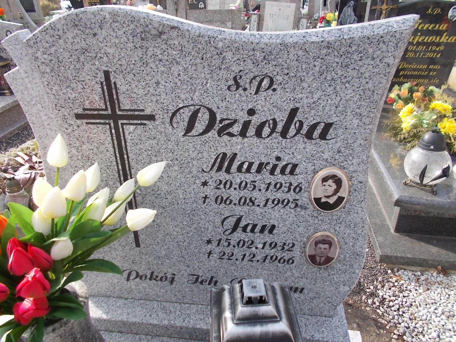 Maria Dzioba 1936 Nowogrodziec - Grobonet - Wyszukiwarka osób pochowanych