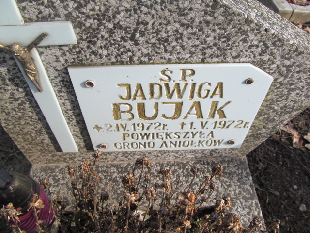 Jadwiga Bujak 1972 Nowogrodziec - Grobonet - Wyszukiwarka osób pochowanych