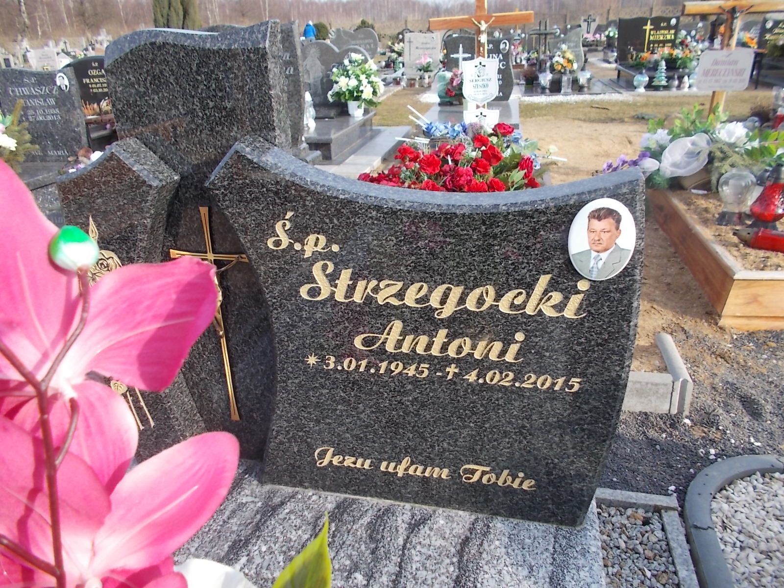 Antoni Strzegocki 1945 Nowogrodziec - Grobonet - Wyszukiwarka osób pochowanych