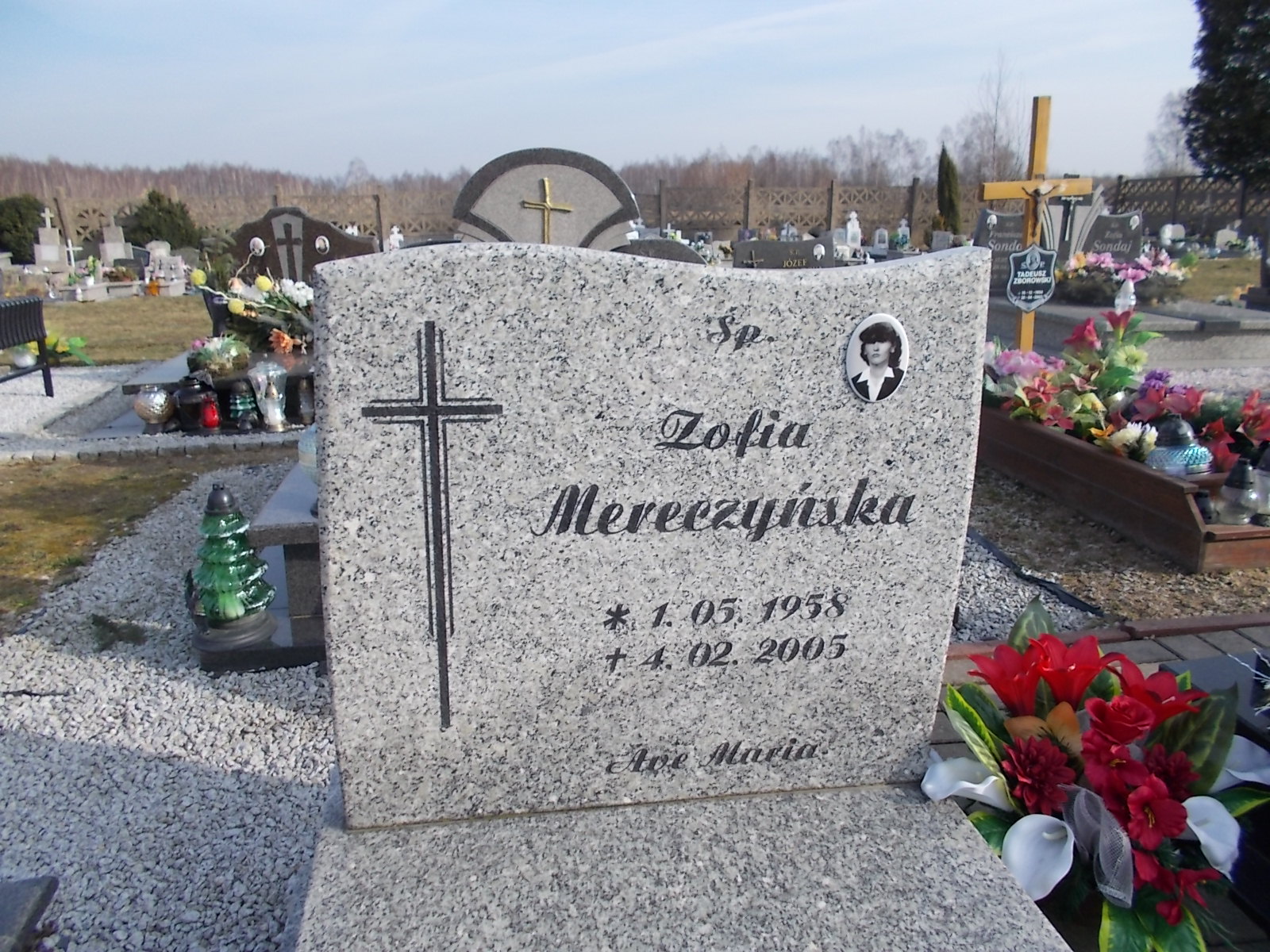 Zofia Mereczyńska 1958 Nowogrodziec - Grobonet - Wyszukiwarka osób pochowanych