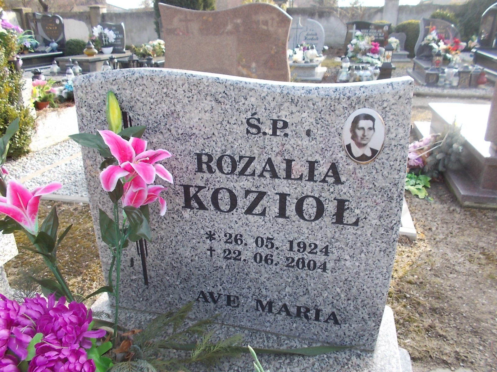 Rozalia Kozioł 1924 Nowogrodziec - Grobonet - Wyszukiwarka osób pochowanych