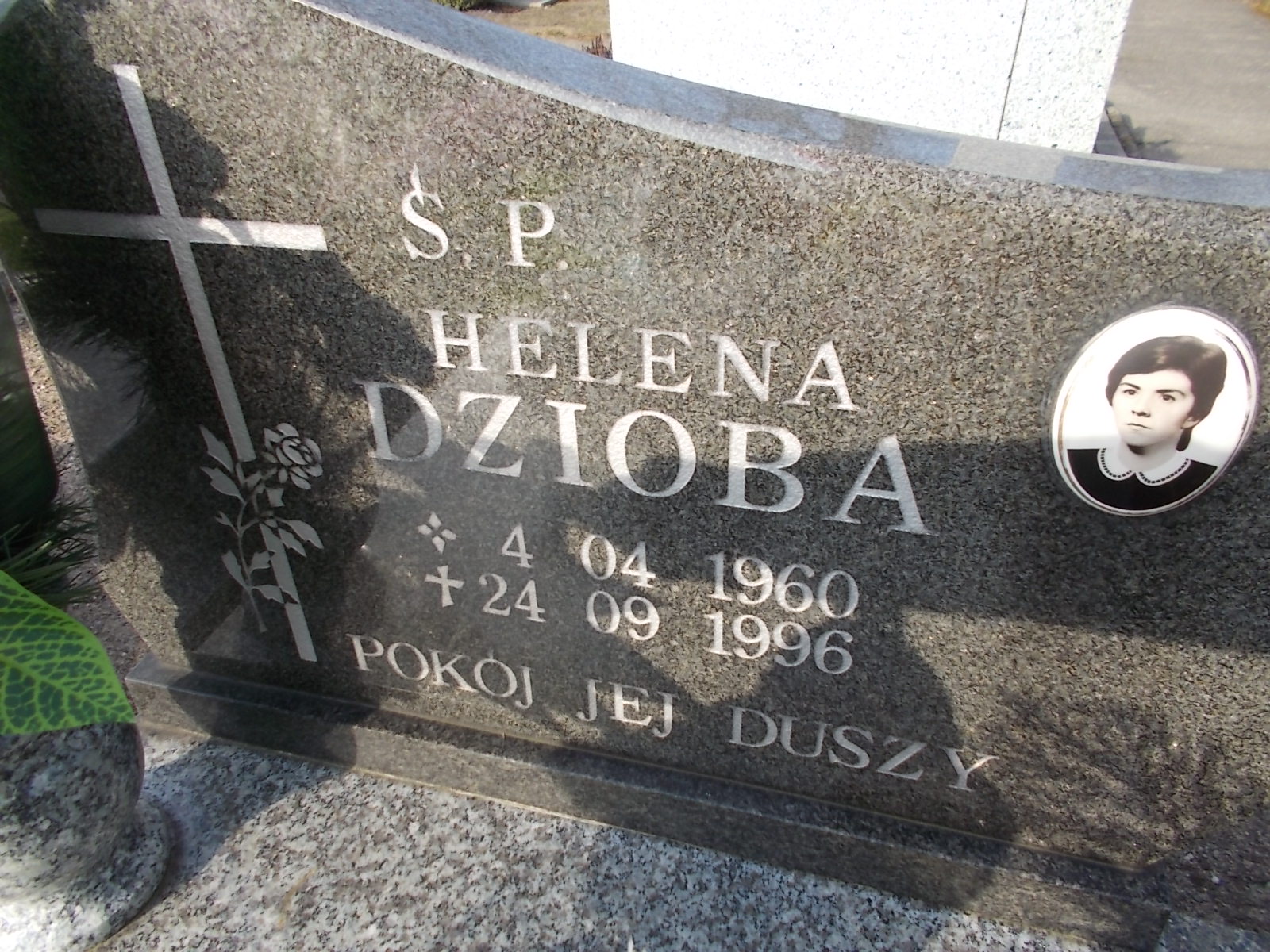 Helena Dzioba 1960 Nowogrodziec - Grobonet - Wyszukiwarka osób pochowanych